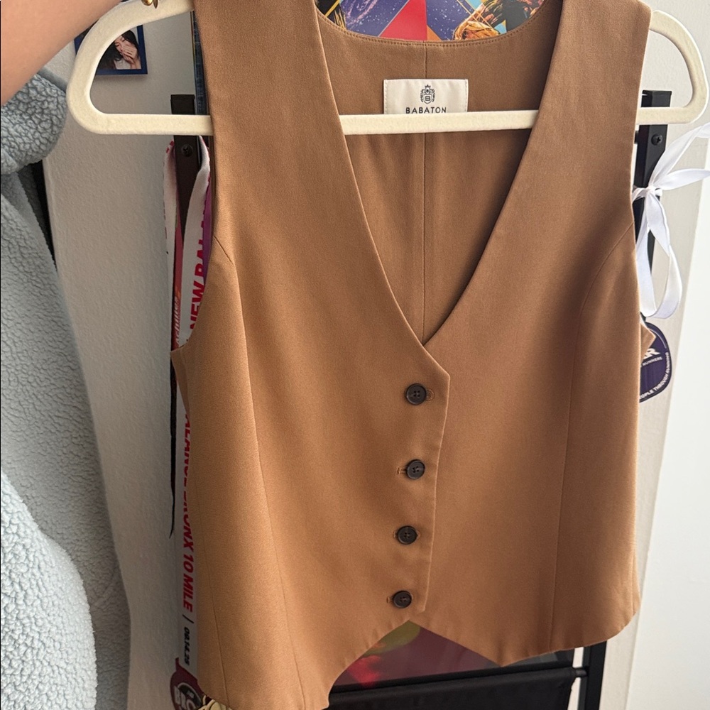 Aritzia Babaton Brown Sleeveless Button-Up Blouse
